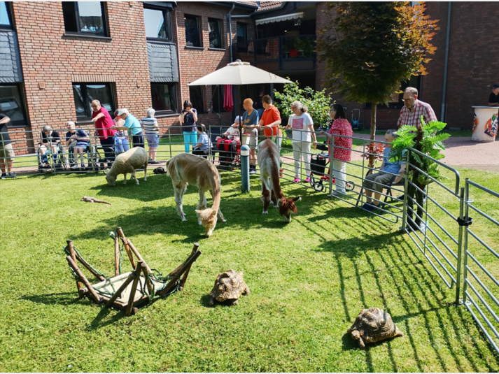 Rollender Zoo