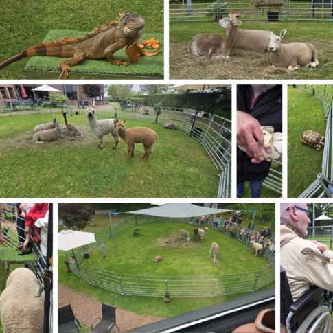 Zoo